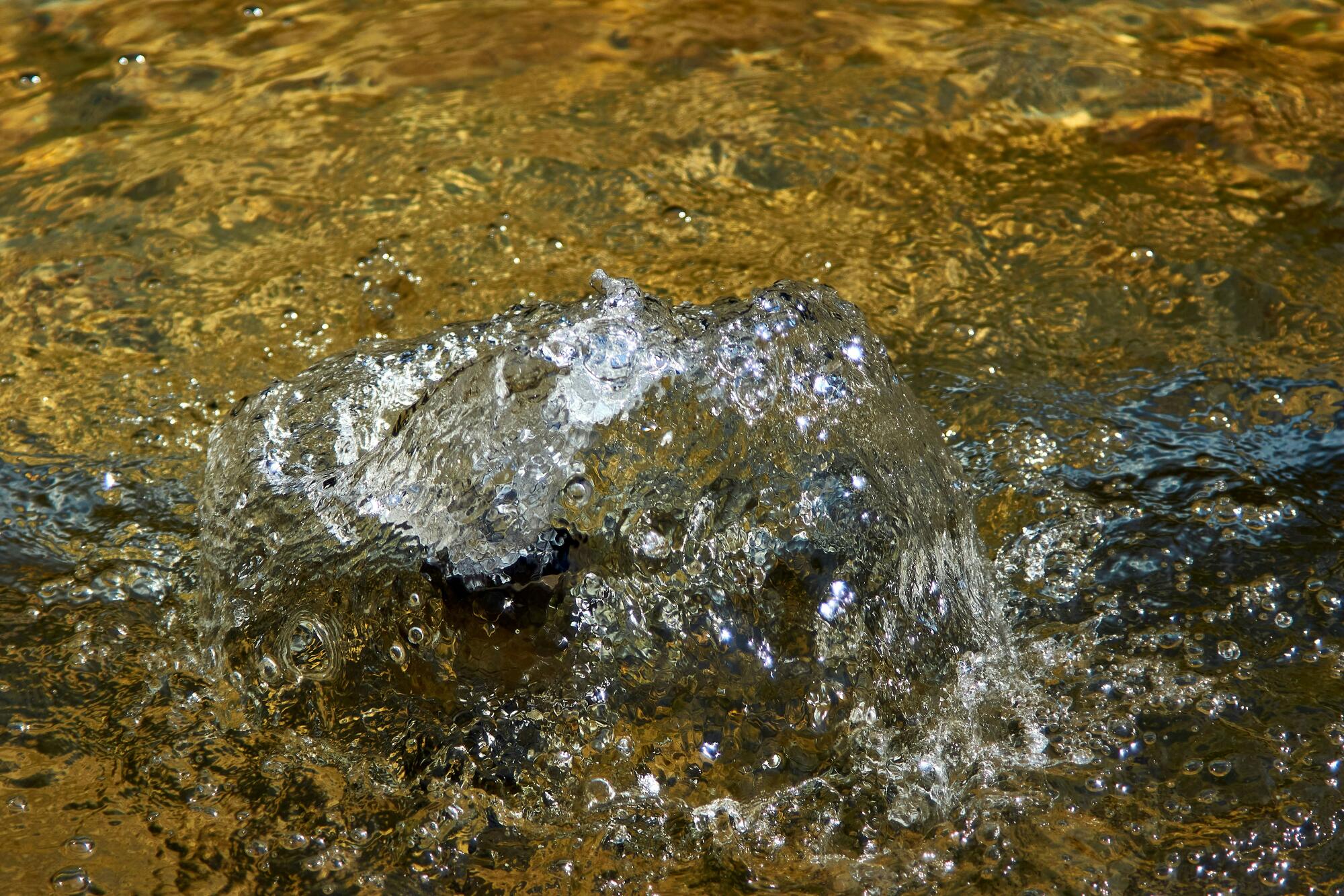 water pooling in yard